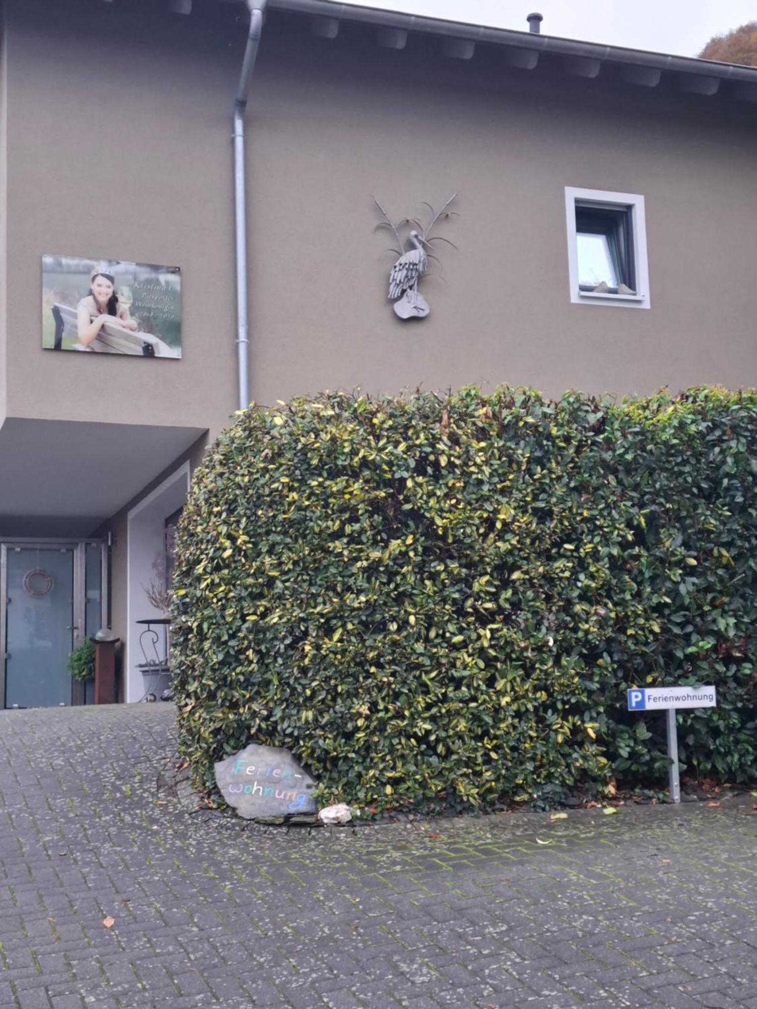 Haus Der Weinkoenigin Kristina Apartment Piesport Exterior photo